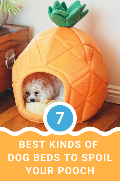 7 Best Kinds Of Dog Beds To Spoil Your Pooch