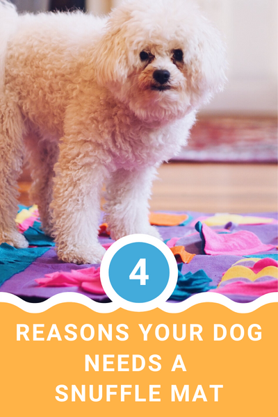4 Reasons Your Dog Needs A Snuffle Mat