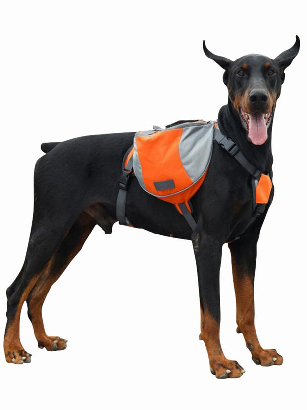 Tailup K9 Carrier Pack Harness