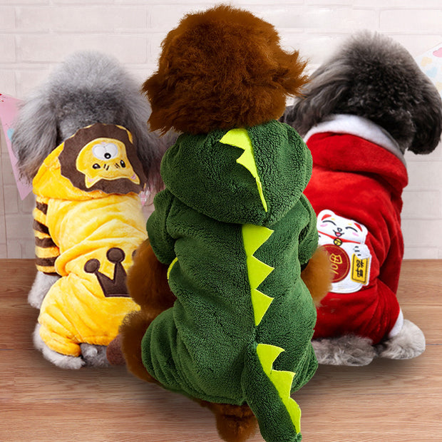 Autumn And Winter Transformed Into Dog Pet Costumes