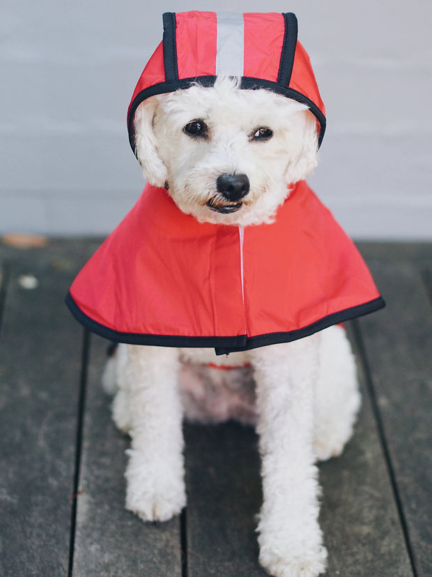 Hi-Vis Safety Dog Raincoat