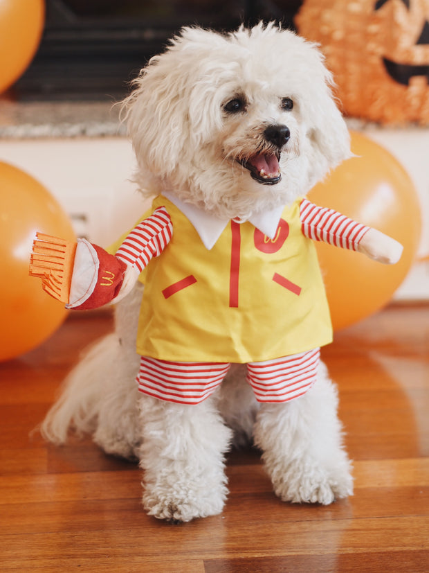 Burger Boy Dog Costume