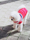 Varsity Striped Dog Sweater