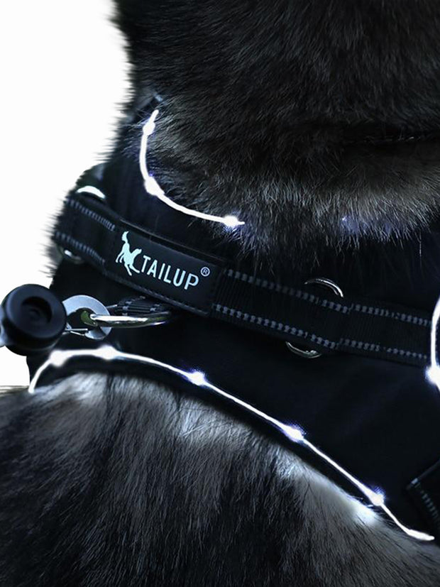 Tailup LED Reflective Dog Harness