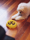 Interactive Nub Slow-Eater Dog Bowl