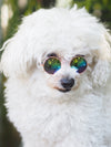 Retro Reflective Dog Sunglasses