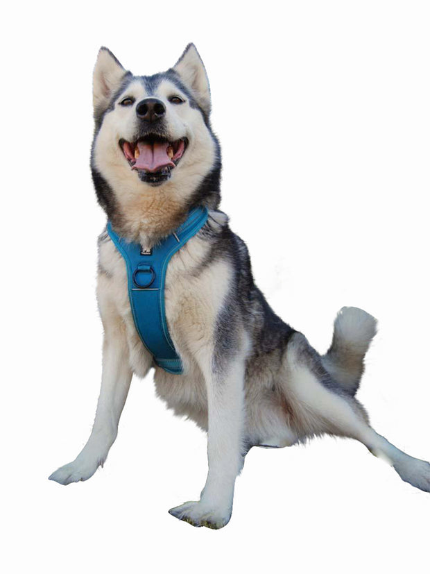TrueLove ADVNTR Reflective Dog Harness