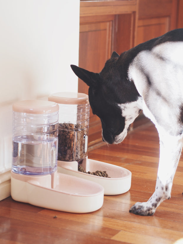 3.8L Food and Water Dog Gravity Feeder