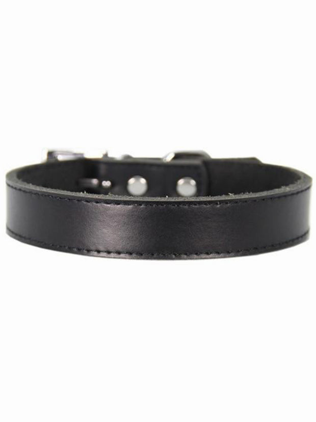 deluxe leather dog collar