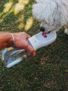 Dog Sports Water Bottle
