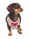 Cute Dog Bow Tie Harness and Lead Set