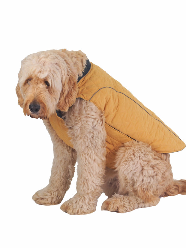 Cosy Warm Quilted Dog Coat and Jacket in mustard
