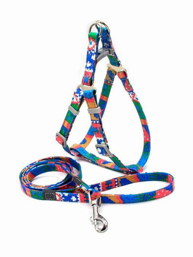 Abstract Nylon Dog Harness and Lead Set