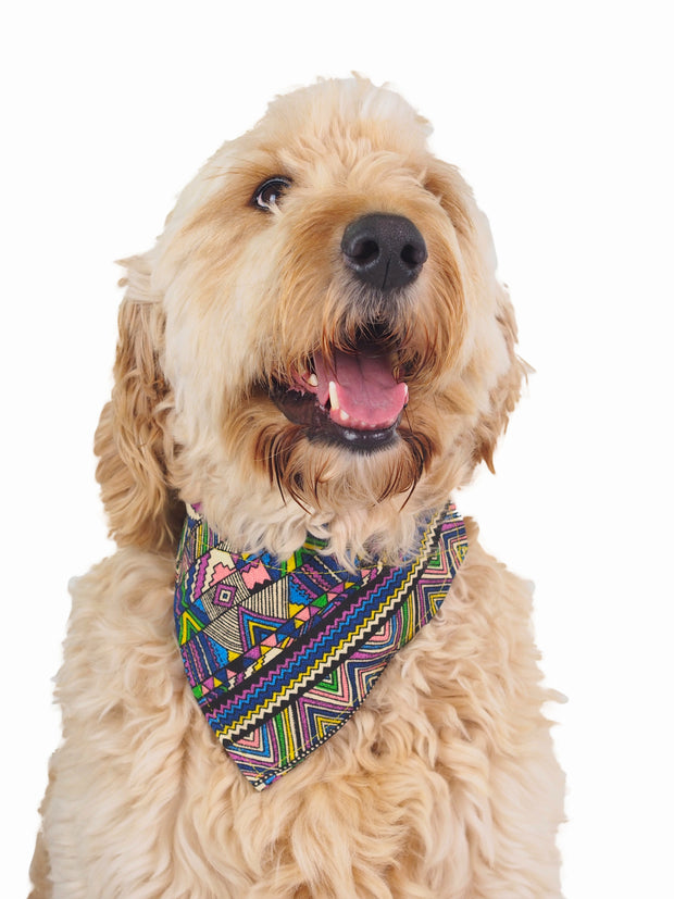 Adjustable aztec pattern dog bandana