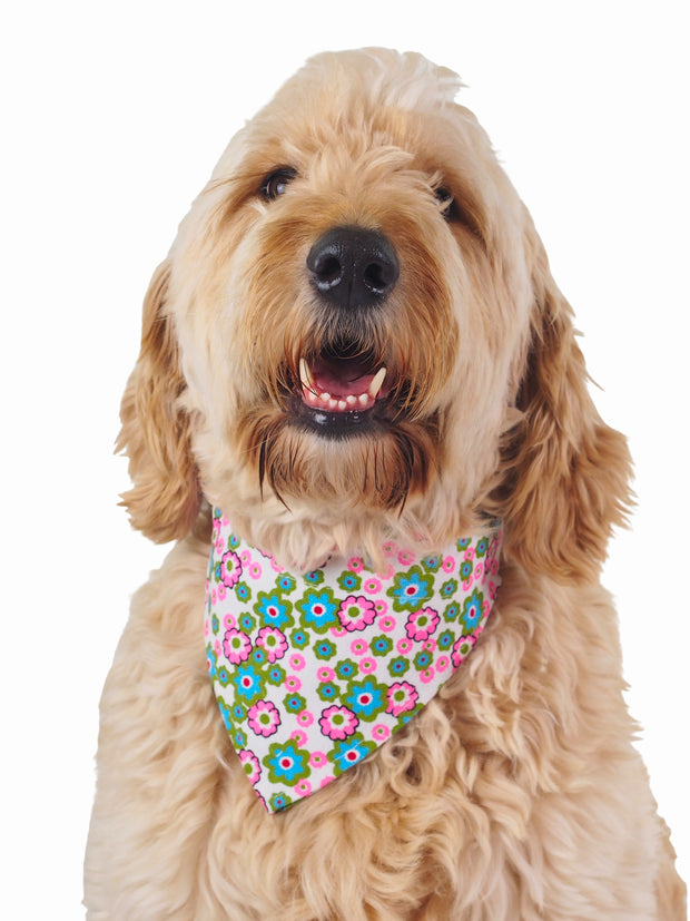 Trending online dog bandana in floral pattern