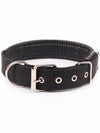 Black online nylon dog collar