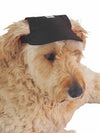 Affordable online dog headwear and hats
