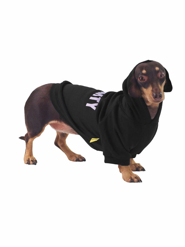 Best online dog apparel and jumpers