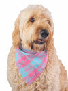 Adjustable plaid dog bandana in pink and light green