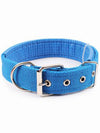 Blue Strong Dog Collar