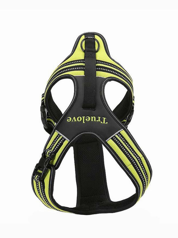 Afterpay dog harness