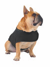 Affordable online dog anxiety jackets, coats and apparel