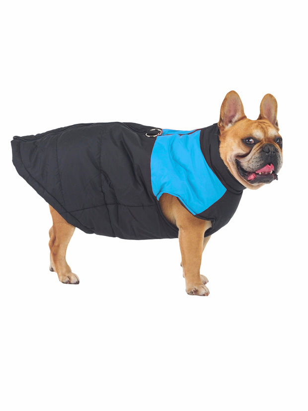Waterproof padded winter dog jacket and coat