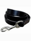black leather dog lead or leash