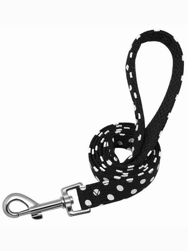 black polka dot dog leash lead