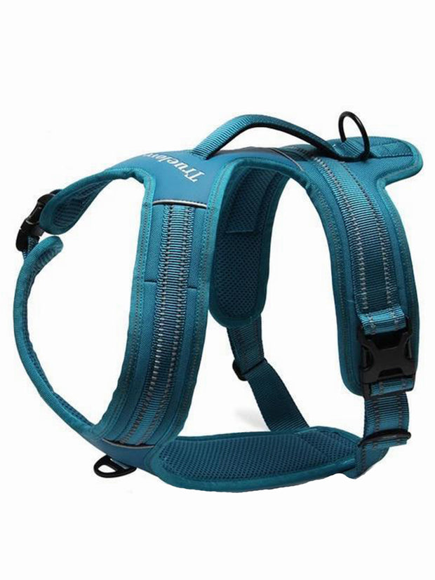 blue adventure dog harness