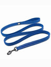 blue bright dog lead