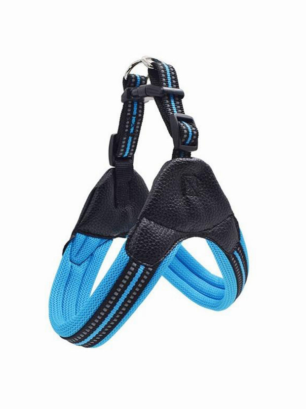 blue online nylon dog harness