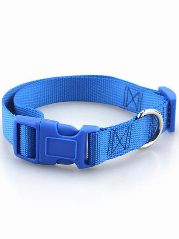 blue quick release dog collar