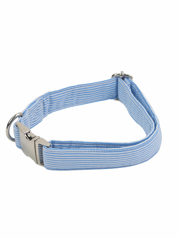 Fashionable dog collar in blue stripe