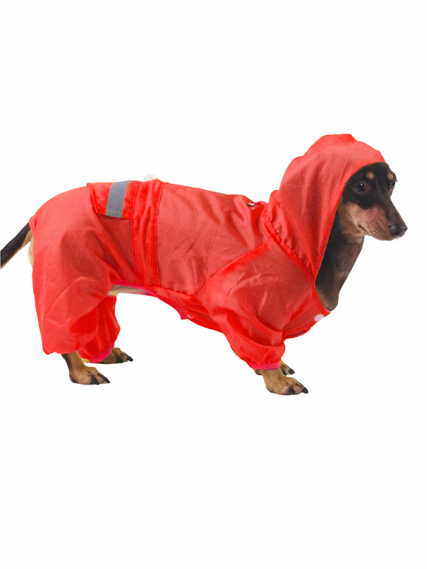 Dog rainjacket with hood