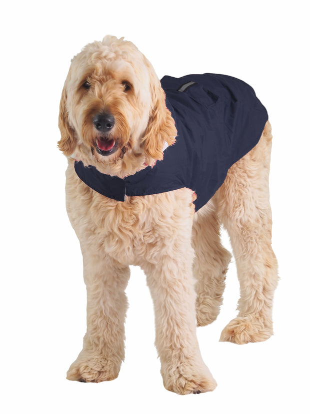 Large adjustable breathable dog rainjacket and raincoat