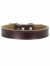 brown leather dog collar affordable