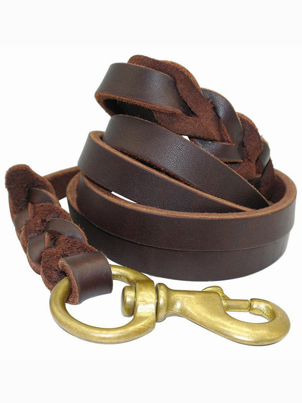 brown leather dog lead or leash