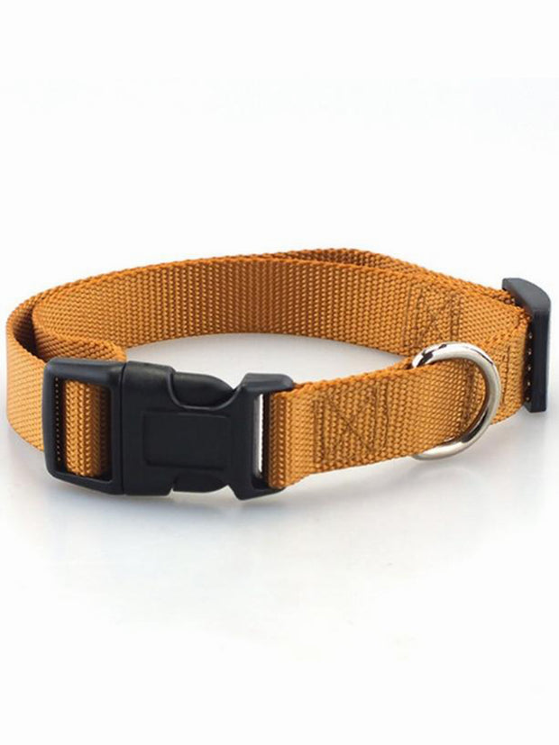 brown online dog collar