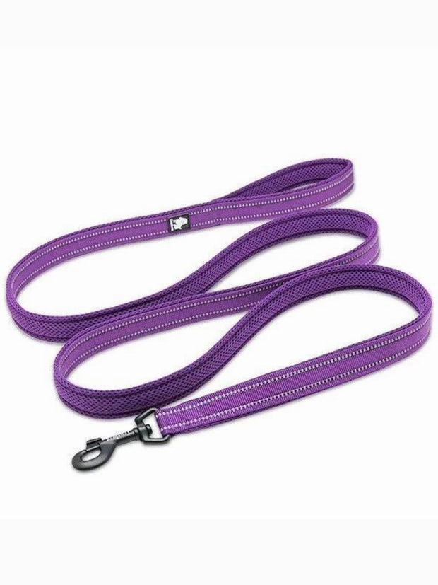 cheap purple dog lead