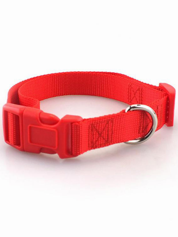 cheap red nylon dog collar
