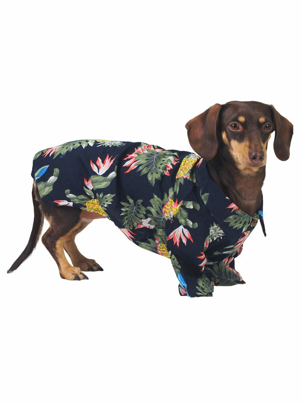 Spring and summer BBQ Hawaiian dog shirt