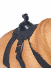 Dog harness with GoPro attachment for dog video