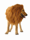 Cool lion mane halloween dog costume