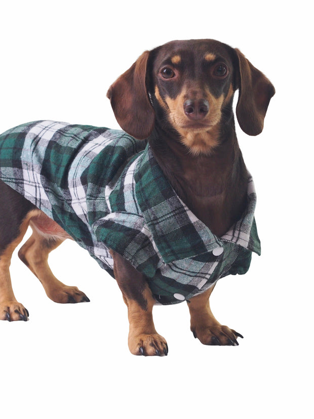 Affordable online dog apparel and plaid shirts