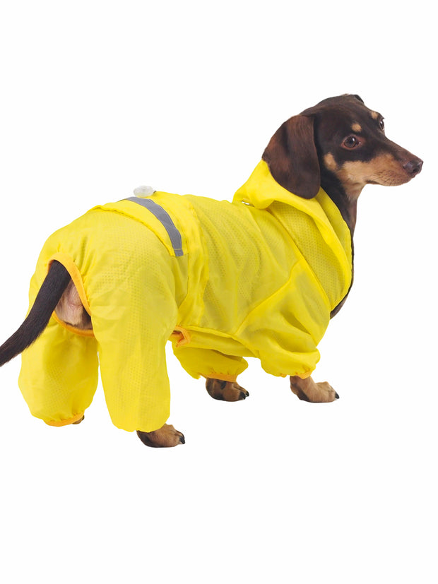 Affordable online winter dog jackets, raincoats and apparel