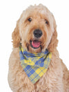 High quality dog bandana in blue and yellow plaid