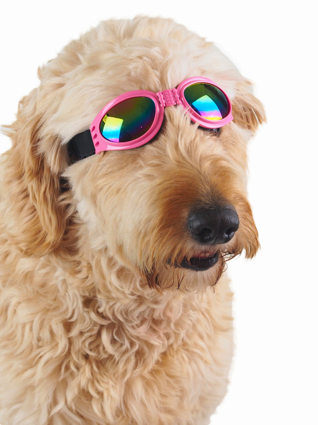 Sunny Day UV Dog Goggles