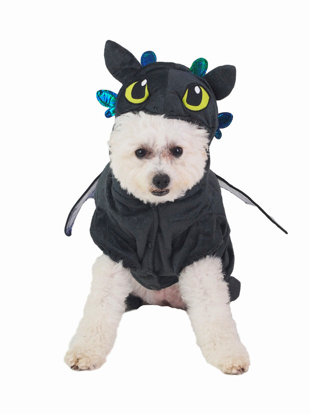 How to train your dragon dog costume