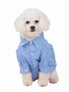 Taking your dog to work business shirt